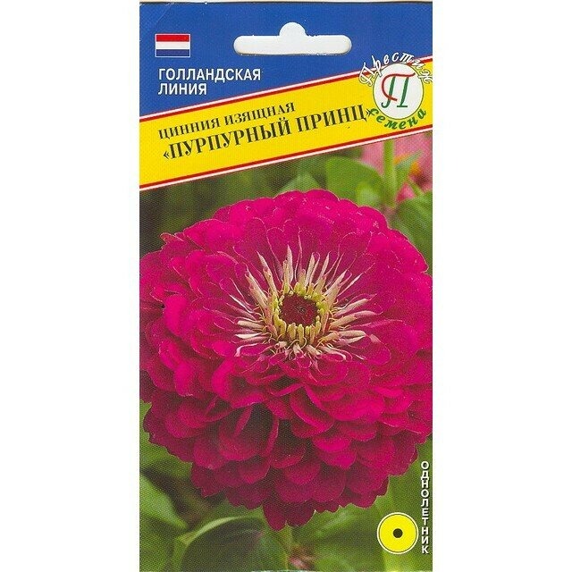 картинка Цинния Пурпурный принц 20шт (Престиж) магазин Одежда+ являющийся официальным дистрибьютором в России 