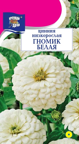 картинка Цинния Гномик белая 0,1г ц/п (УУ) магазин Одежда+ являющийся официальным дистрибьютором в России 
