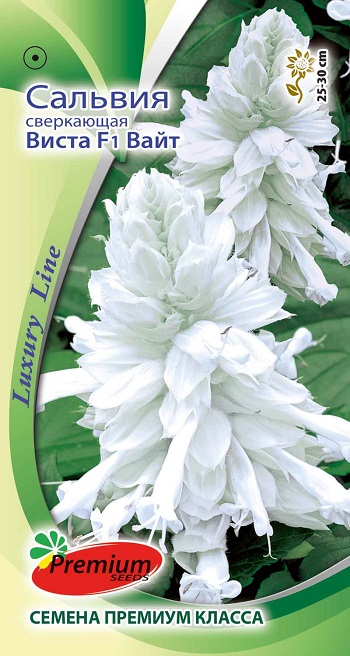 картинка Сальвия Виста Вайт F1 10шт ц/п (ПрСидс) магазин Одежда+ являющийся официальным дистрибьютором в России 