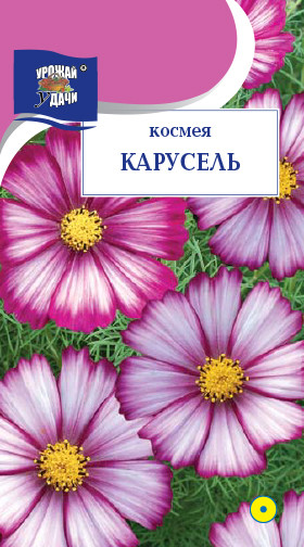 картинка Космея Дварф сенсейшн микс 0,15г ц/п (УД) магазин Одежда+ являющийся официальным дистрибьютором в России 