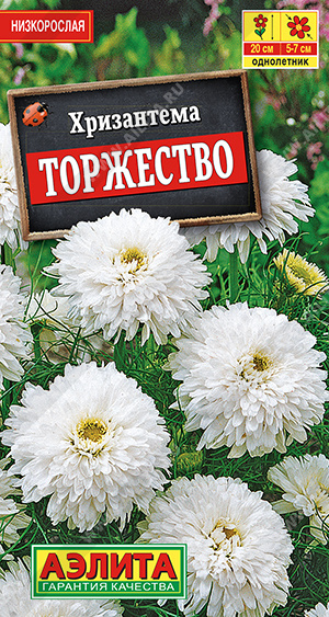 картинка Хризантема Торжество букетная 0,1г ц/п (Аэлита) магазин Одежда+ являющийся официальным дистрибьютором в России 