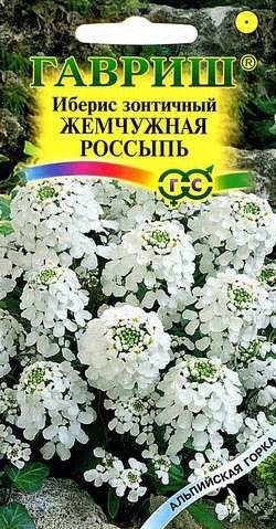 картинка Иберис Жемчужная россыпь 0,1г ц/п (Гавриш) Альп.горка магазин Одежда+ являющийся официальным дистрибьютором в России 