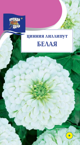 картинка Цинния Лиллипут Белая 0,3г ц/п (УУ) магазин Одежда+ являющийся официальным дистрибьютором в России 