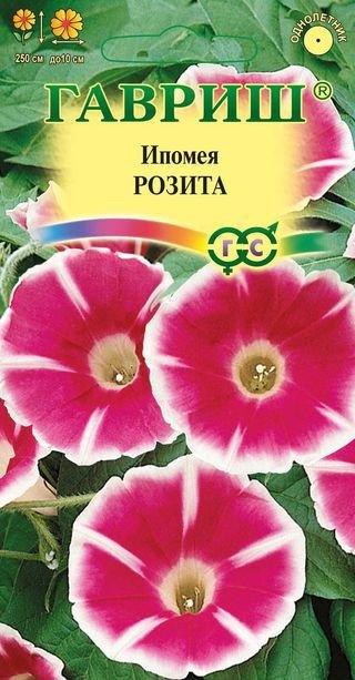 картинка Ипомея Розита 0,3г ц/п (Гавриш) магазин Одежда+ являющийся официальным дистрибьютором в России 