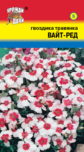 картинка Гвоздика травянка Вайт-Ред 0,1г ц/п (УУ) магазин Одежда+ являющийся официальным дистрибьютором в России 