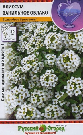 картинка Алиссум Ванильное облако 0,1г ц/п (НК) Русский огород белый магазин Одежда+ являющийся официальным дистрибьютором в России 