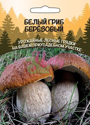 картинка Мицелий Белый гриб Березовый 30мл ц/п б/ф (ССПК) (УД) Новинка!!! магазин Одежда+ являющийся официальным дистрибьютором в России 