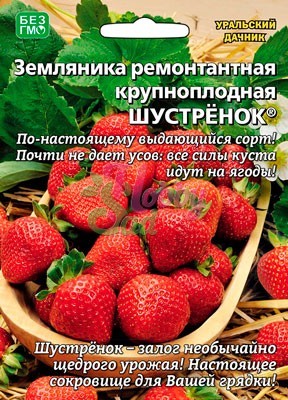 картинка Земляника Шустренок 10шт ц/п б/ф (УД) ремонтантная магазин Одежда+ являющийся официальным дистрибьютором в России 