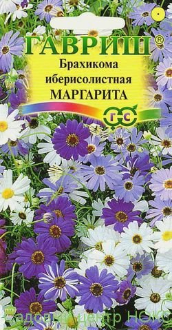 картинка Брахикома Маргарита иберисолистная 0,02г ц/п (Гавриш) магазин Одежда+ являющийся официальным дистрибьютором в России 