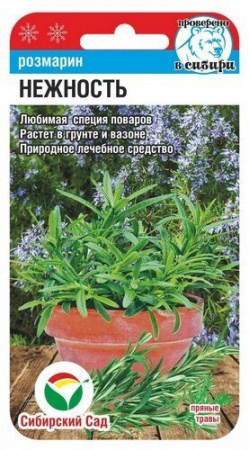 картинка Розмарин Нежность 0,02г (СибСад) магазин Одежда+ являющийся официальным дистрибьютором в России 