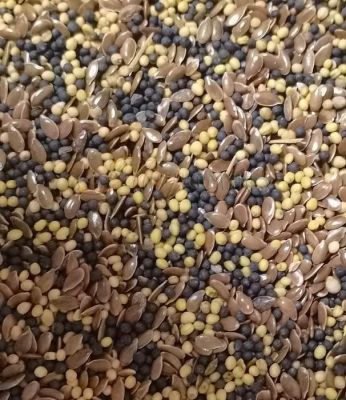 картинка Смесь Сидератов 25кг (горчица+лен масличный+рапс) 40:30:30 (+/- 2%) (Ал.Сад) магазин Одежда+ являющийся официальным дистрибьютором в России 