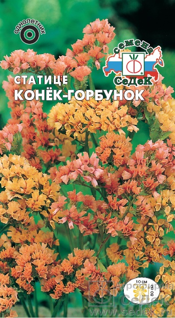 картинка Статица Конек-Горбунок 0,2г ц/п (Седек) нежно-абрикосовая магазин Одежда+ являющийся официальным дистрибьютором в России 