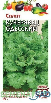 Салат Одесский кучерявец 0,5г ц/п (Гавриш) 