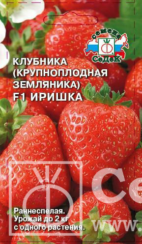 картинка Земляника Иришка F1 0,09 г ц/п (Седек) магазин Одежда+ являющийся официальным дистрибьютором в России 