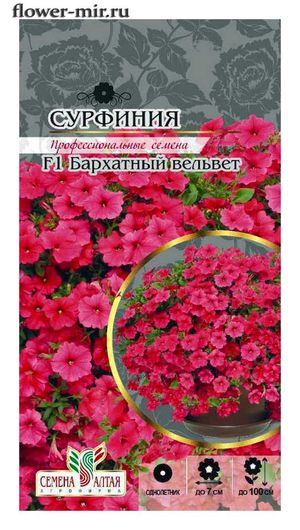 картинка Сурфиния Бархатный вельвет 5шт ц/п (СемАлт) магазин Одежда+ являющийся официальным дистрибьютором в России 