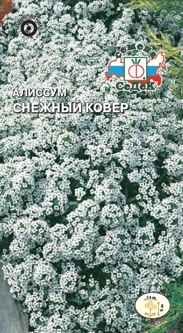 картинка Алиссум Снежный ковер 0,2г ц/п (Седек) магазин Одежда+ являющийся официальным дистрибьютором в России 