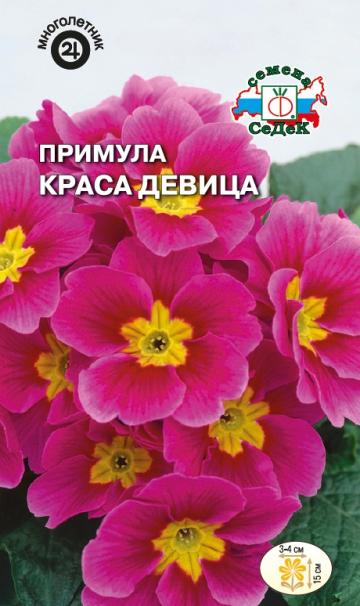 картинка Примула Краса девица 5г ц/п (Седек) магазин Одежда+ являющийся официальным дистрибьютором в России 