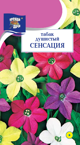 картинка Табак Сенсация душистый 0,1г ц/п (УУ)  магазин Одежда+ являющийся официальным дистрибьютором в России 