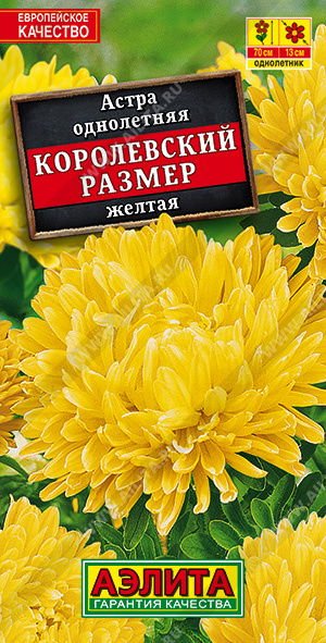 картинка Астра Королевский размер Желтая 0,1г ц/п (Аэлита) 90см магазин Одежда+ являющийся официальным дистрибьютором в России 