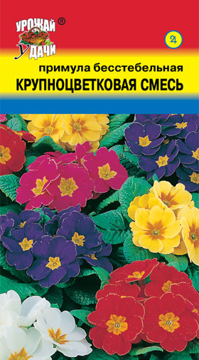 картинка Примула Крупноцветковая смесь 0,01г ц/п (УУ) бесстебельная магазин Одежда+ являющийся официальным дистрибьютором в России 