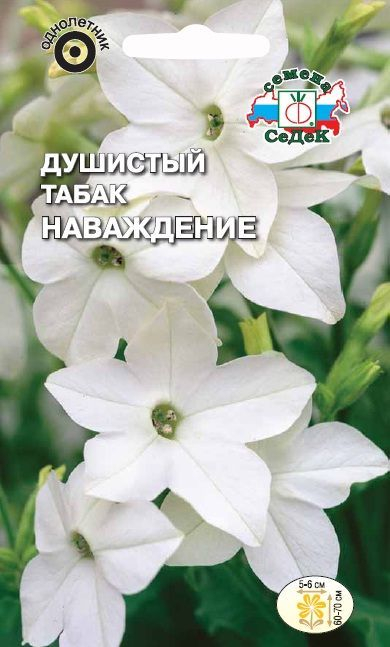 картинка Табак душистый Наваждение (белый) 0,1г ц/п (Седек) магазин Одежда+ являющийся официальным дистрибьютором в России 