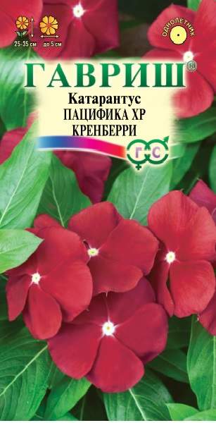 картинка Катарантус Пацифика Кренберри ХР  ц/п (Гавриш) магазин Одежда+ являющийся официальным дистрибьютором в России 
