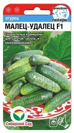 картинка Огурец Малец-удалец F1 7шт (СибСад) Новинка магазин Одежда+ являющийся официальным дистрибьютором в России 