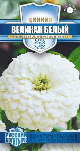 картинка Цинния Великан Белый 0,3г ц/п (Гавриш) Рус.богатырь магазин Одежда+ являющийся официальным дистрибьютором в России 