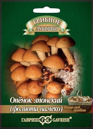 картинка Мицелий грибов Опенок японский Фолиото намеко 12шт (Гавриш) магазин Одежда+ являющийся официальным дистрибьютором в России 