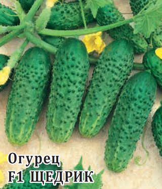 картинка Огурец Щедрик F1 100шт (Гавриш) пикуль магазин Одежда+ являющийся официальным дистрибьютором в России 