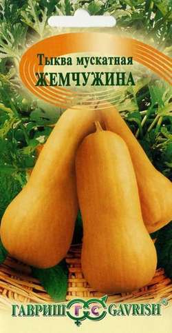 картинка Тыква Жемчужина мускатная 1г ц/п (Гавриш) магазин Одежда+ являющийся официальным дистрибьютором в России 