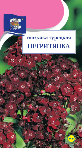 картинка Гвоздика турецкая Негритянка 0,1г ц/п (УУ) магазин Одежда+ являющийся официальным дистрибьютором в России 