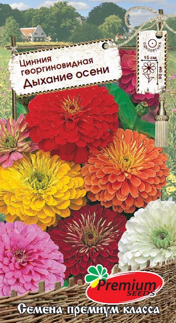 картинка Цинния Дыхание осени 0,3г ц/п (ПрСидс) георгиновидная магазин Одежда+ являющийся официальным дистрибьютором в России 