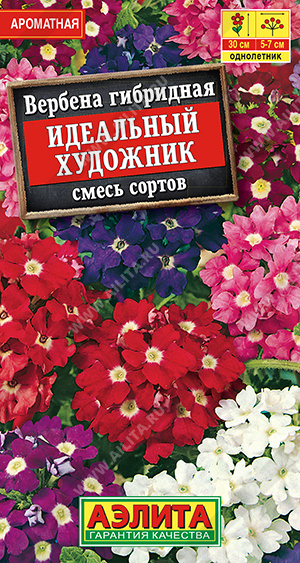 картинка Вербена Идеальный художник, смесь ц/п (Аэлита) гибридная магазин Одежда+ являющийся официальным дистрибьютором в России 