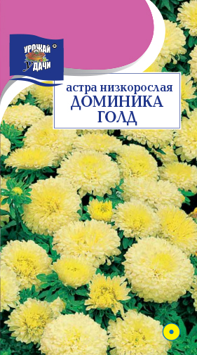 картинка Астра Доминика Голд 0,2г ц/п (УУ) низкоросл. магазин Одежда+ являющийся официальным дистрибьютором в России 