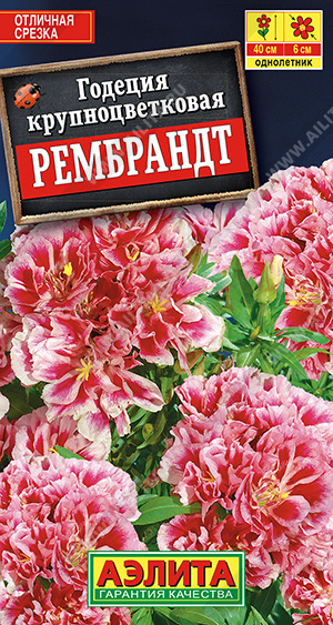 картинка Годеция Рембрант махровая 0,05г ц/п (Аэлита)  магазин Одежда+ являющийся официальным дистрибьютором в России 