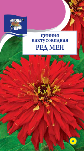 картинка Цинния Ред Мен 0,2г ц/п (УУ) кактусовид. магазин Одежда+ являющийся официальным дистрибьютором в России 