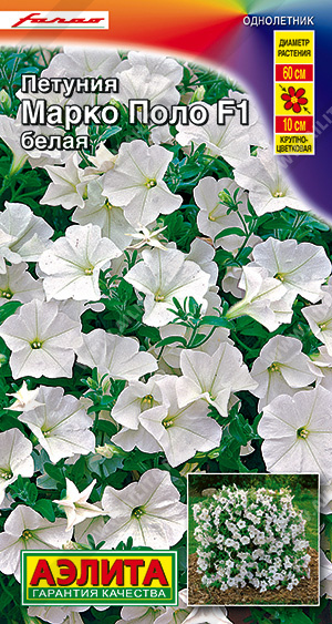 картинка Петуния Марко Поло белая F1 ц/п (Аэлита) крупноцв. магазин Одежда+ являющийся официальным дистрибьютором в России 