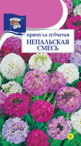 картинка Примула Зубчатая Непальская, смесь 0,01г ц/п (УУ) магазин Одежда+ являющийся официальным дистрибьютором в России 