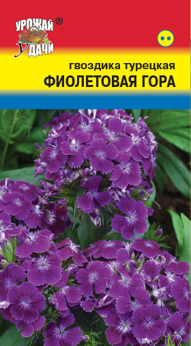 Гвоздика турецкая Фиолетовая гора 0,2 г ц/п (УУ) 