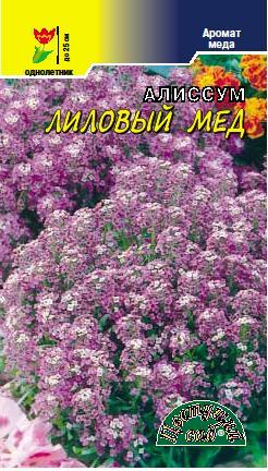 картинка Алиссум Лиловый мед 0,05г ц/п (ЦвСад) магазин Одежда+ являющийся официальным дистрибьютором в России 