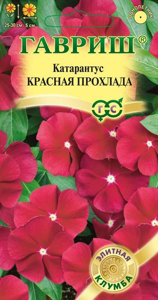 картинка Катарантус Красная прохлада ц/п (Гавриш) Элит. клумба магазин Одежда+ являющийся официальным дистрибьютором в России 