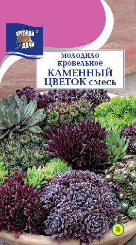 картинка Молодило Каменный цветок, смесь 0,005г ц/п (УУ) магазин Одежда+ являющийся официальным дистрибьютором в России 