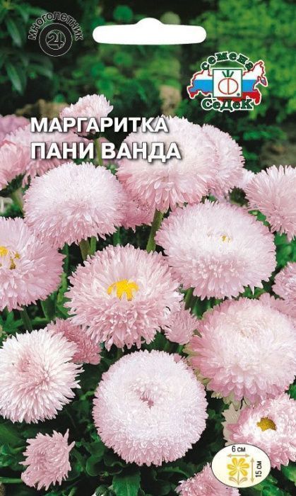 картинка Маргаритка Панни Ванда 0,05г ц/п (Седек) св.розовая магазин Одежда+ являющийся официальным дистрибьютором в России 