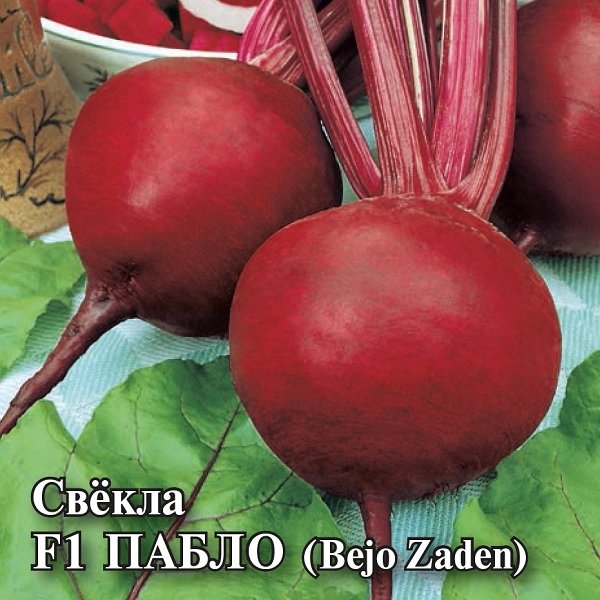 картинка Свекла Пабло F1 25г (Bejo) магазин Одежда+ являющийся официальным дистрибьютором в России 