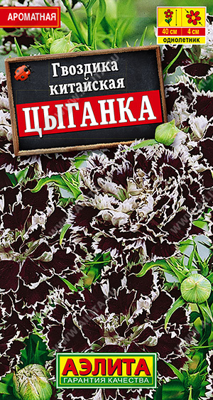 картинка Гвоздика китайская Цыганка 0,1г (Аэлита)  магазин Одежда+ являющийся официальным дистрибьютором в России 