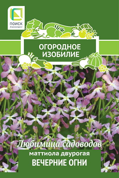 картинка Маттиола Вечерние огни 0,3г лид/п (Поиск) Огород.изобилие магазин Одежда+ являющийся официальным дистрибьютором в России 
