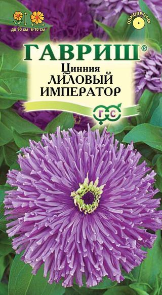картинка Цинния Лиловый император 0,2г ц/п (Гавриш) Лаванд.грезы  магазин Одежда+ являющийся официальным дистрибьютором в России 