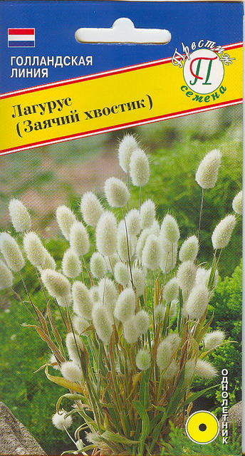 картинка Лагурус (Заячий хвостик) 10шт (Престиж) магазин Одежда+ являющийся официальным дистрибьютором в России 
