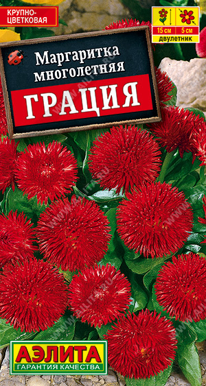 картинка Маргаритка Грация крупноцветковая 0,05г ц/п (Аэлита) магазин Одежда+ являющийся официальным дистрибьютором в России 